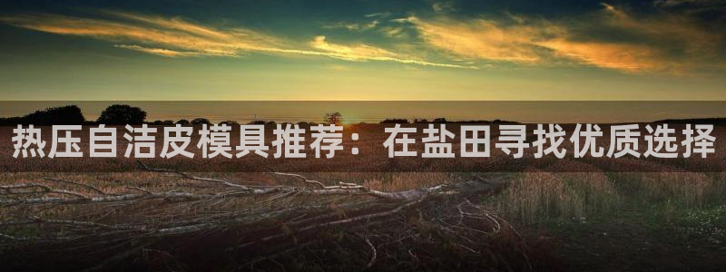 emc易倍首页:热压自洁皮模具推荐:在盐田寻找优质选择