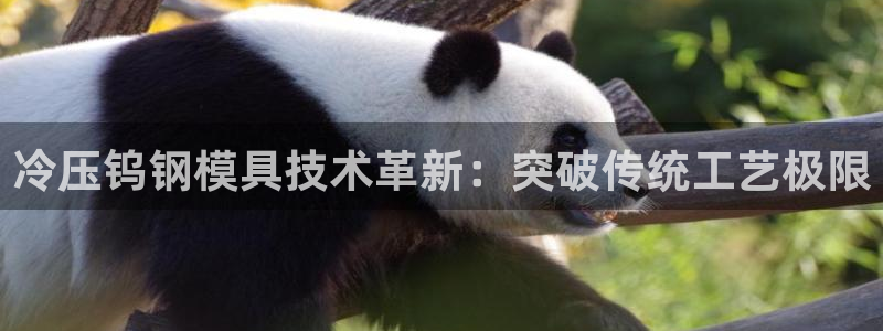 易倍达怎么样:冷压钨钢模具技术革新:突破传统工艺极限