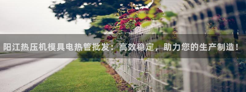 emc易倍穆里尼奥：阳江热压机模具电热管批发：高效稳定，
