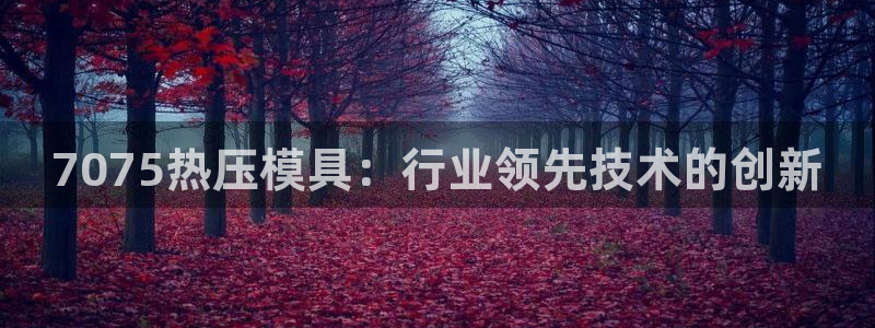 易倍达怎么样