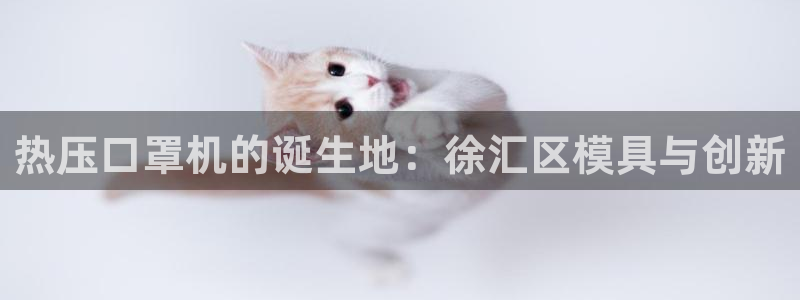 易倍申有用吗：热压口罩机的诞生地：徐汇区模具与创新