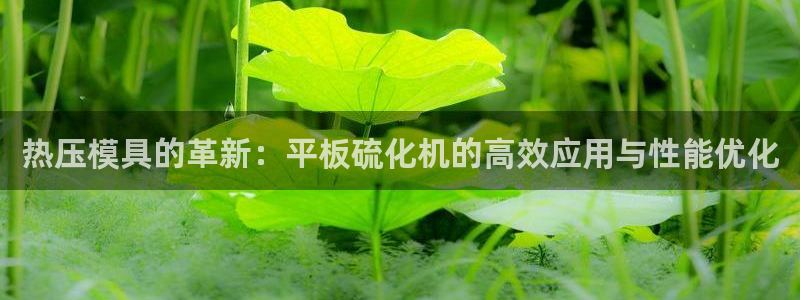 emc易倍网页版：热压模具的革新：平板硫化机的高效应用与