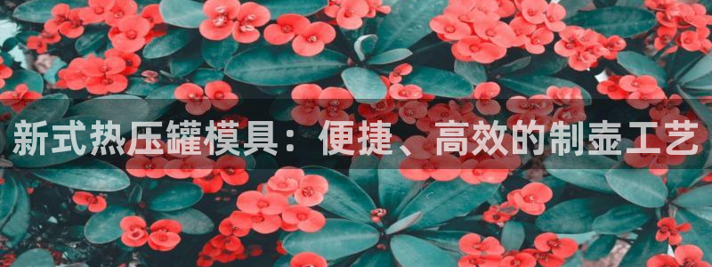 易倍申能长期吃吗