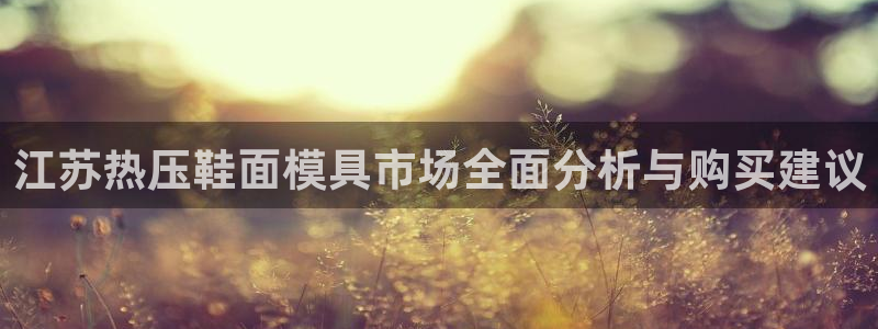 易倍申多少钱：江苏热压鞋面模具市场全面分析与购买建议