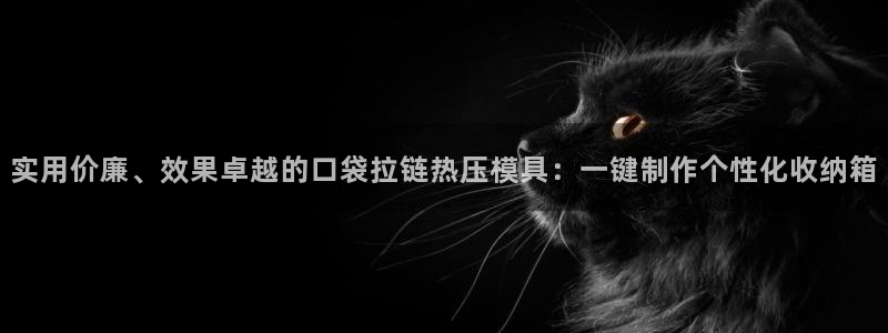 emc软件下载:实用价廉、效果卓越的口袋拉链热压模具:一