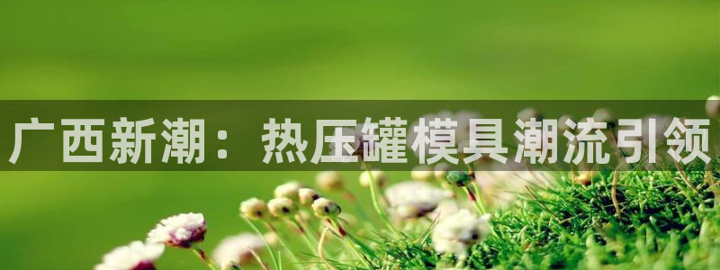 emc倍频只能是奇数倍吗：广西新潮：热压罐模具潮流引领