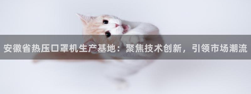 易倍申价格是多少：安徽省热压口罩机生产基地：聚焦技术创新