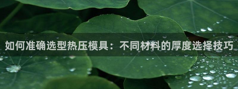 易倍申不良反应：如何准确选型热压模具：不同材料的厚度选择