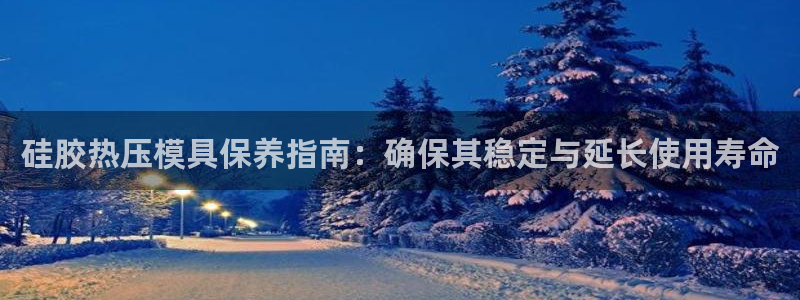 易倍单词app:硅胶热压模具保养指南:确保其稳定与延长使