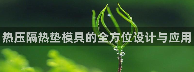杭州易倍达科技有限公司怎么样：热压隔热垫模具的全方位设计
