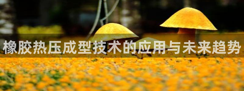 易倍纤能减肥吗