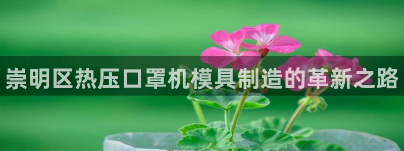 易倍康简历：崇明区热压口罩机模具制造的革新之路