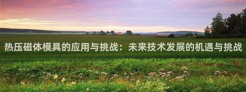 emc易倍官方平:热压磁体模具的应用与挑战:未来技术发展