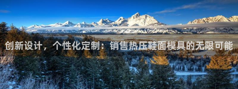 易倍纤减肥价格:创新设计,个性化定制:销售热压鞋面模具的