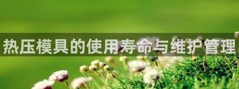 易倍申的价格：热压模具的使用寿命与维护管理