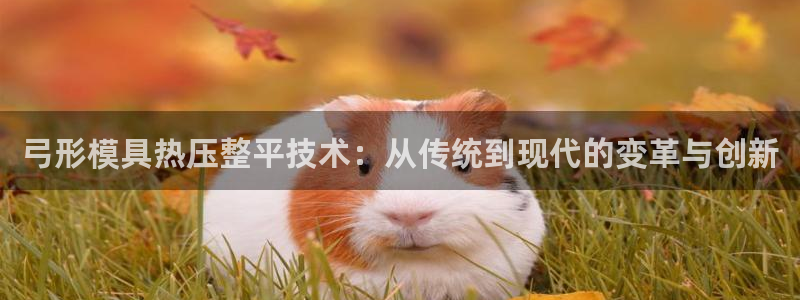 易倍纤代餐奶昔怎么样：弓形模具热压整平技术：从传统到现代