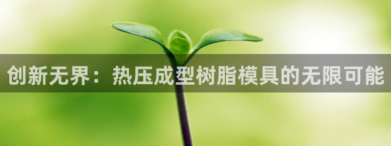 emc登录网站：创新无界：热压成型树脂模具的无限可能