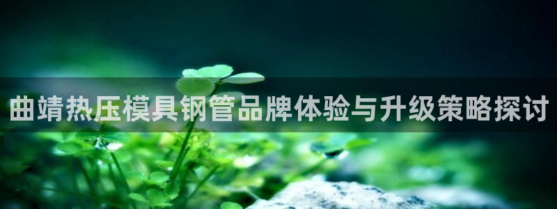 emc易倍官网：曲靖热压模具钢管品牌体验与升级策略探讨