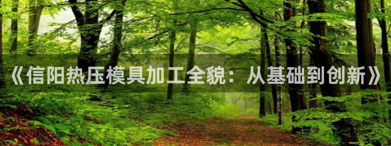 emc mcu：《信阳热压模具加工全貌：从基础到创新》