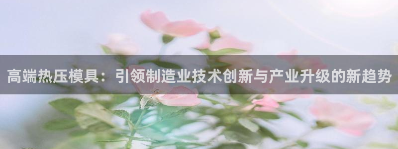 易倍网络技术有限公司是干嘛的：高端热压模具：引领制造业技