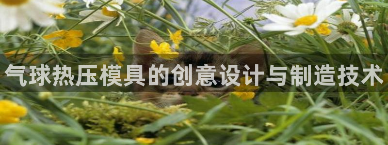易倍思教育：气球热压模具的创意设计与制造技术