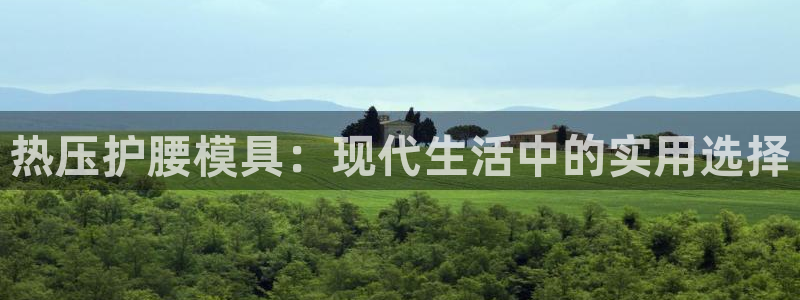 emc易倍平台：热压护腰模具：现代生活中的实用选择