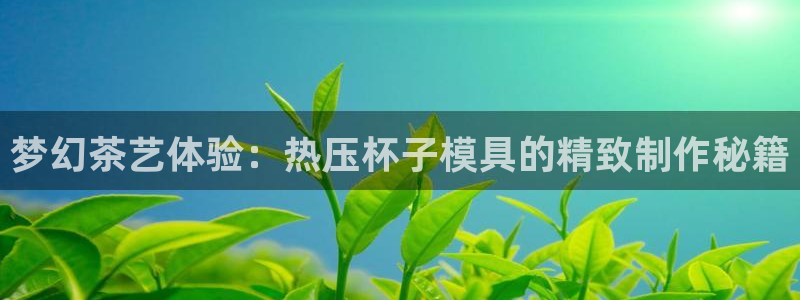 易倍下载：梦幻茶艺体验：热压杯子模具的精致制作秘籍
