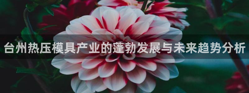 易倍单词app下载：台州热压模具产业的蓬勃发展与未来趋势