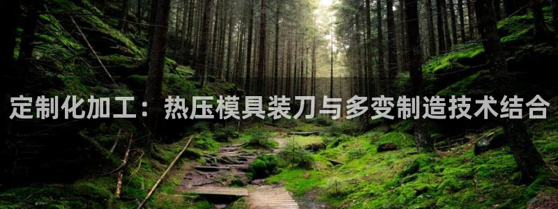易倍全站下载：定制化加工：热压模具装刀与多变制造技术结合