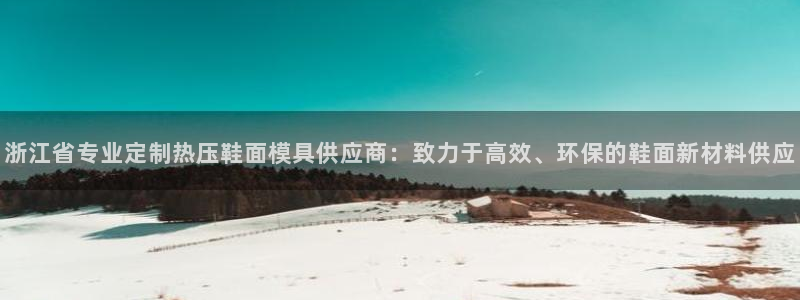 emc易倍老板：浙江省专业定制热压鞋面模具供应商：致力于