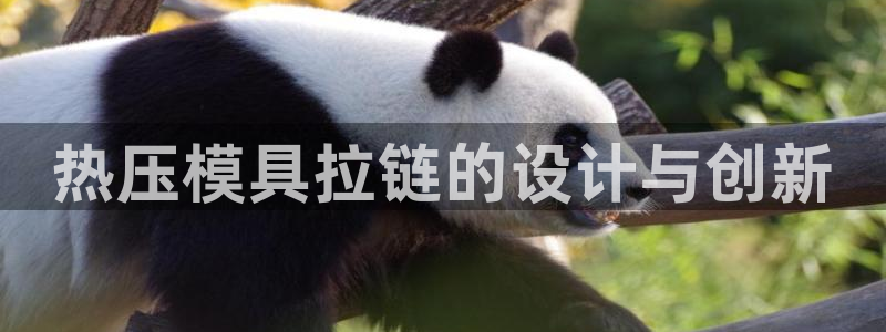 易倍康简历：热压模具拉链的设计与创新