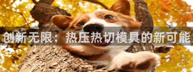 emc32软件安装：创新无限：热压热切模具的新可能