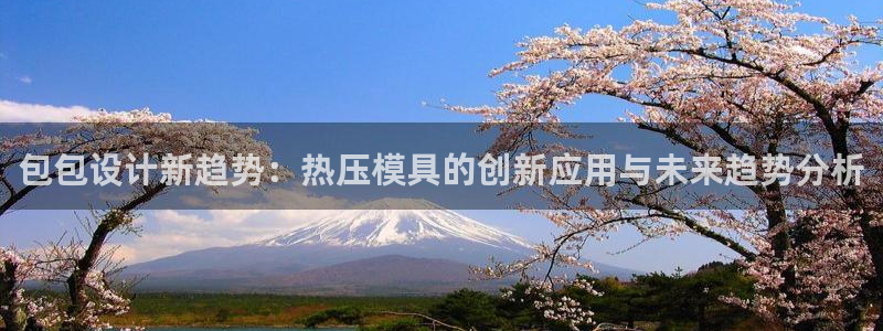 emc32软件：包包设计新趋势：热压模具的创新应用与未来