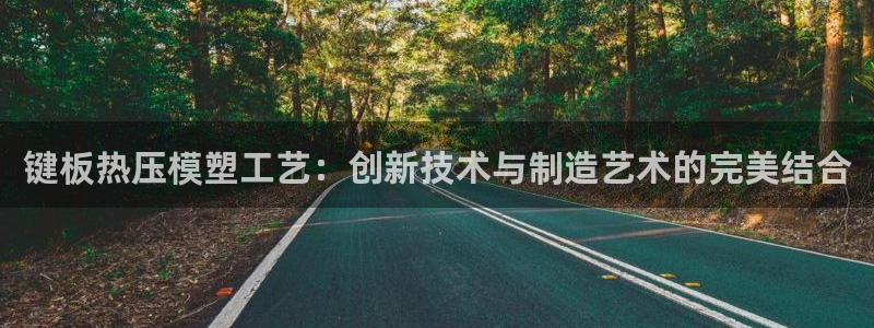 emc服务器是干啥的：键板热压模塑工艺：创新技术与制造艺