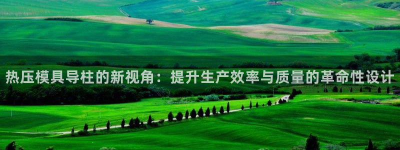 易倍申服用方法:热压模具导柱的新视角:提升生产效率与质量