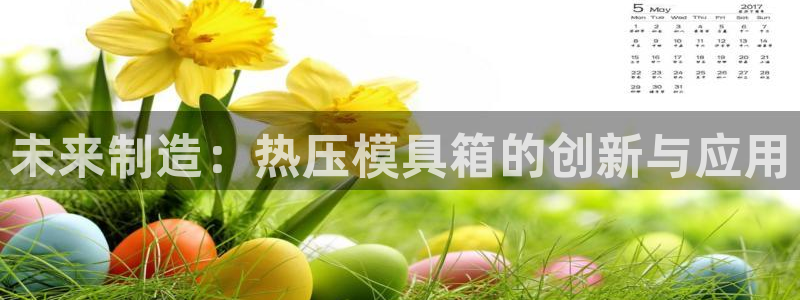 易倍康简历:未来制造:热压模具箱的创新与应用