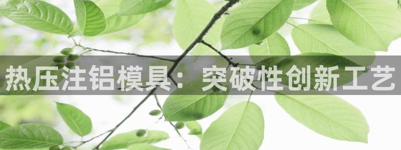 emc易倍ios官网:热压注铝模具:突破性创新工艺