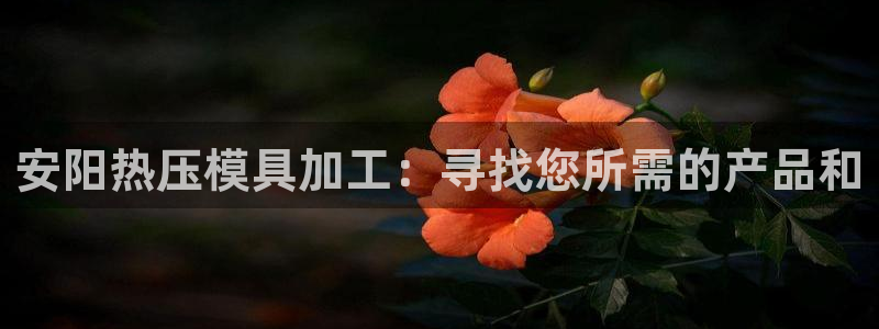 易倍单词官方网站下载：安阳热压模具加工：寻找您所需的产品