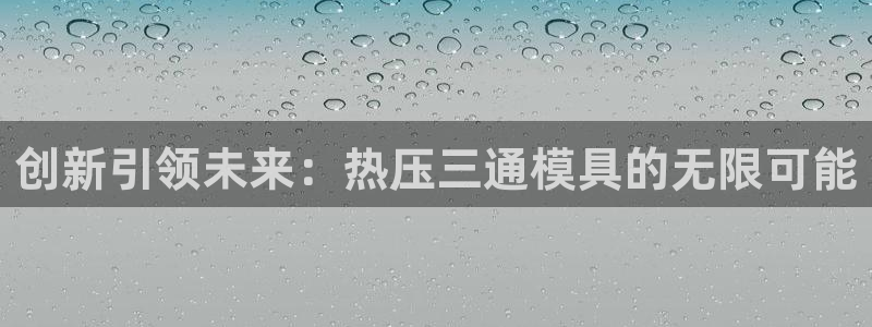 易倍单词app下载：创新引领未来：热压三通模具的无限可能