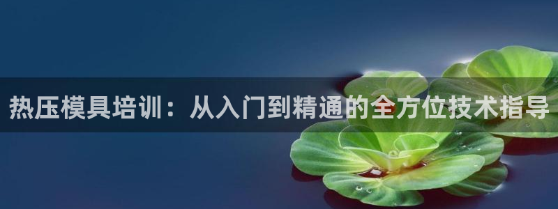 emc易倍下载:热压模具培训:从入门到精通的全方位技术指