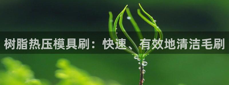 北京易倍思教育怎么样