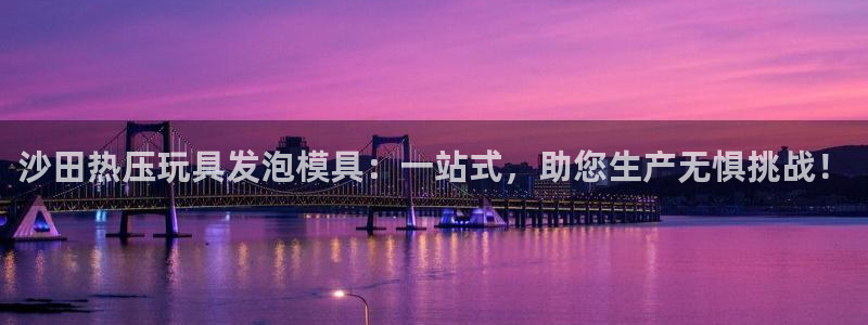 易倍企业管理软件怎么样：沙田热压玩具发泡模具：一站式，助