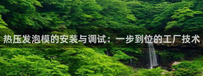 上海易倍投资有限公司：热压发泡模的安装与调试：一步到位的