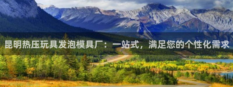 易倍思机电制造(上海)有限公司：昆明热压玩具发泡模具厂：