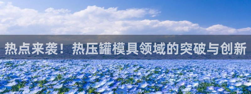 易倍申的包装规格:热点来袭!热压罐模具领域的突破与创新