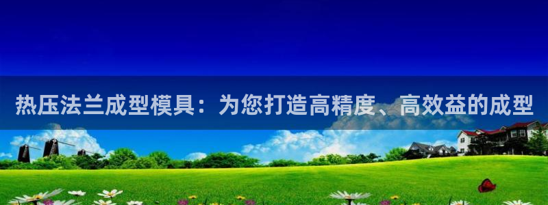 武汉易倍捷科技有限公司:热压法兰成型模具:为您打造高精度