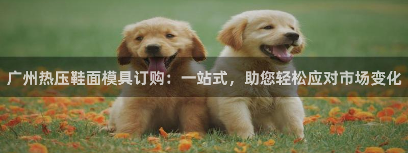 emc易倍官网app：广州热压鞋面模具订购：一站式，助您