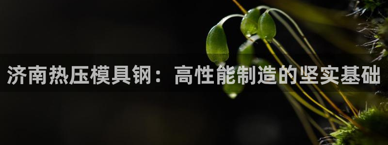 emc易倍是黑台子吗