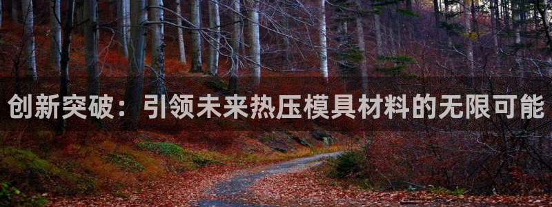 emc易倍官方平台:创新突破:引领未来热压模具材料的无限