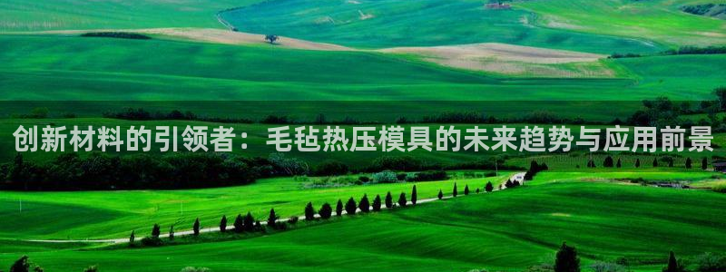 emc低频不过:创新材料的引领者:毛毡热压模具的未来趋势